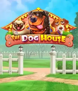 Experience Pragmatic Play's The Dog House, offering a fun-filled adventure among charming canines. Discover gameplay elements such as free spins, designed for providing exciting wins. A must-try for pet lovers a cheerful atmosphere alongside lucrative rewards.